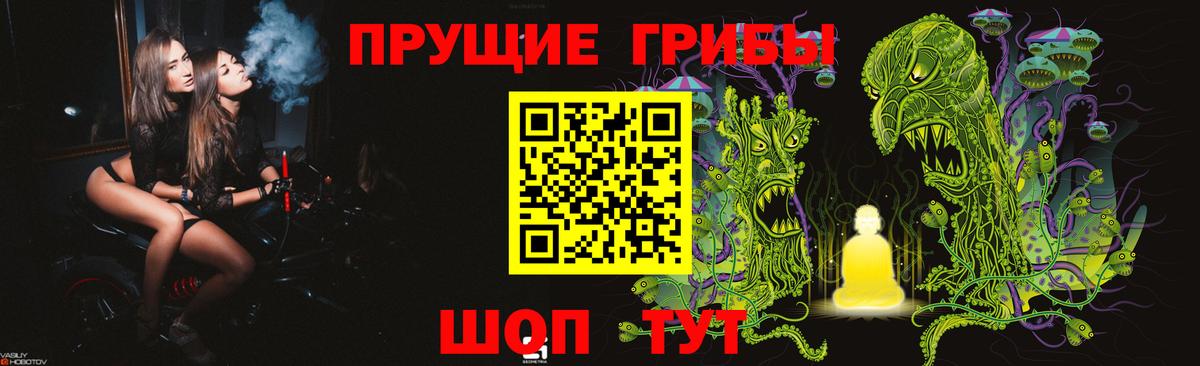 купить наркотики цена  Вход с VPN  Россия  Галлюциногенные грибы Magic Shrooms 